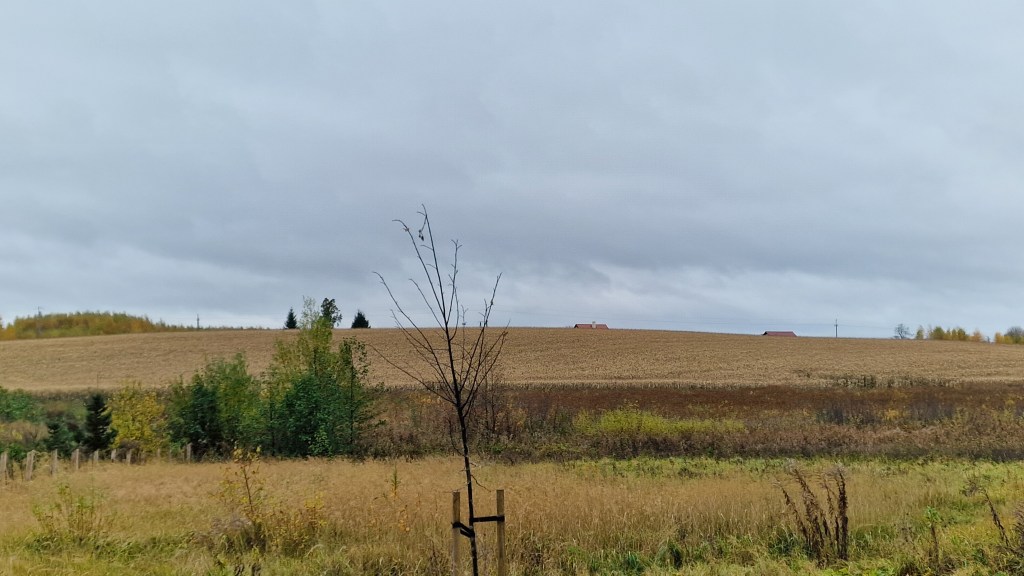 Poland’s rural north-east: the country’s corner unseen by foreign&nbsp;eye